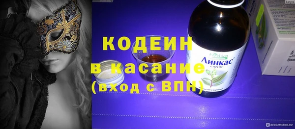 гашик Верея